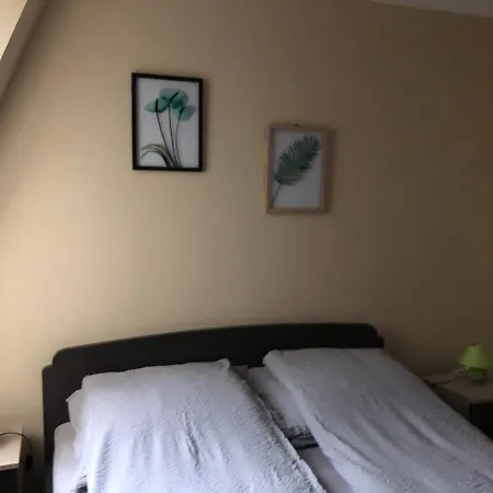 Alina Apartment Hajduszoboszlo