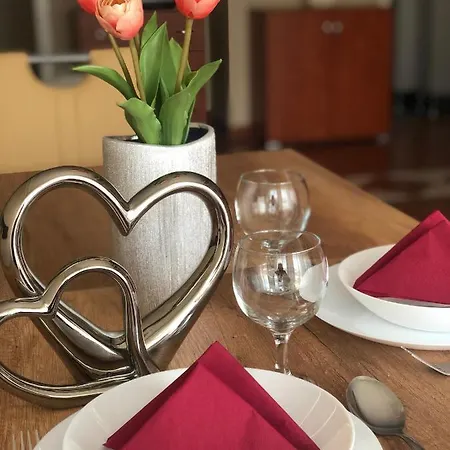 Apartment Alina Hajduszoboszlo