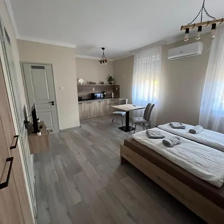 Apartment Alina Hajduszoboszlo