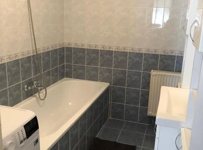 Apartman Alina *